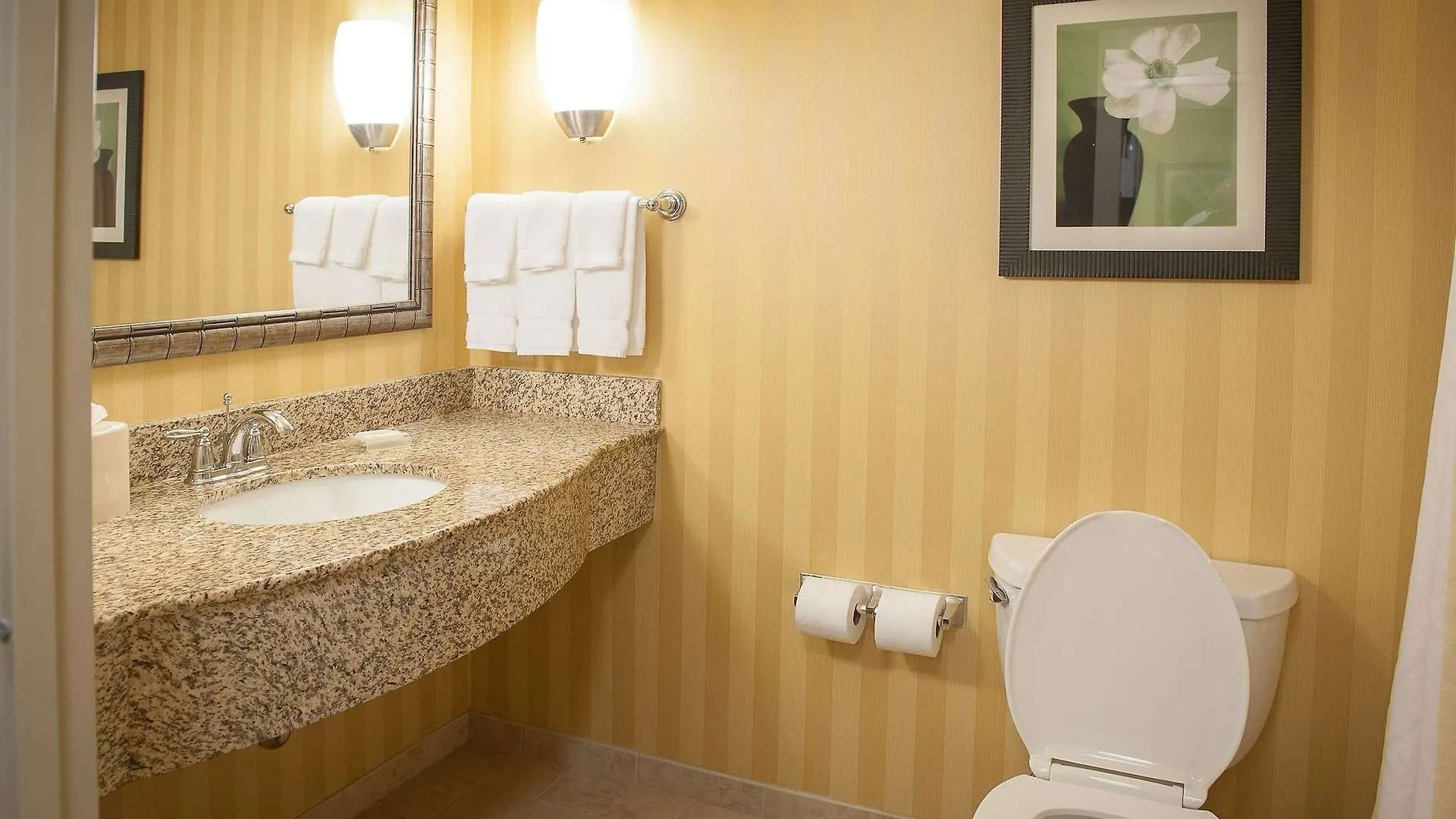 Hotel Hilton Garden Inn Pensacola Airport/Medical Center